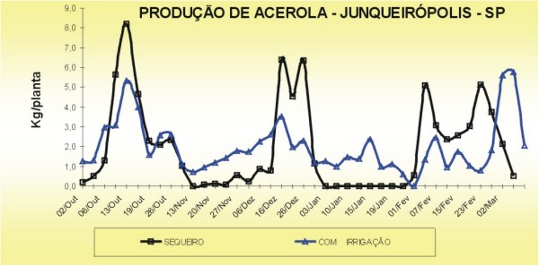 Produ��o de Frutos