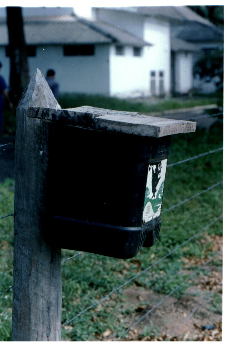 Armadilha para Rhynchophorus palmarum (foto de Antonio M�ller)