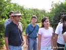 Engenheiro Agr&ocirc;nomo F&aacute;bio Del Rovere  recebe  visita ao seu pomar altamente produtivo.