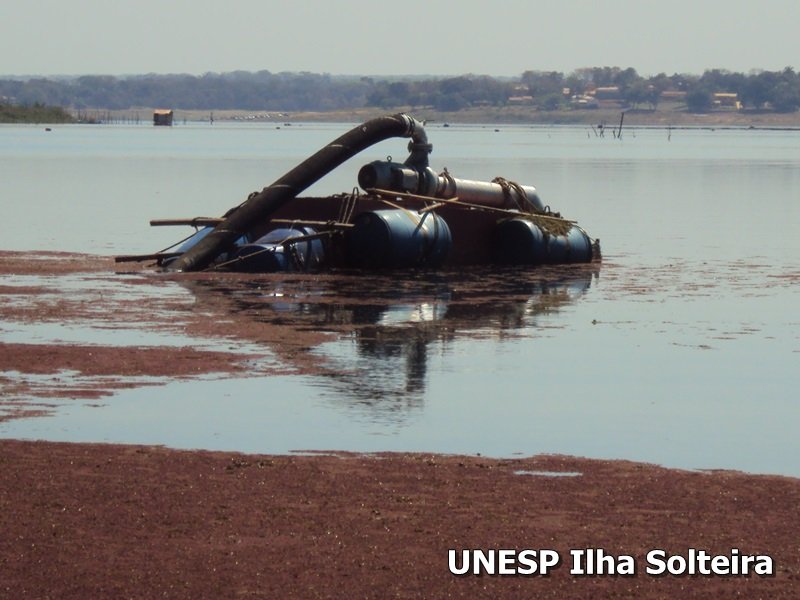 frutas school 22 ago 2015 (13)