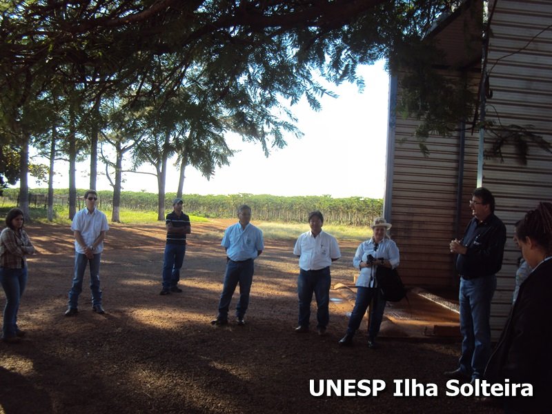 frutas school 22 ago 2015 (4)