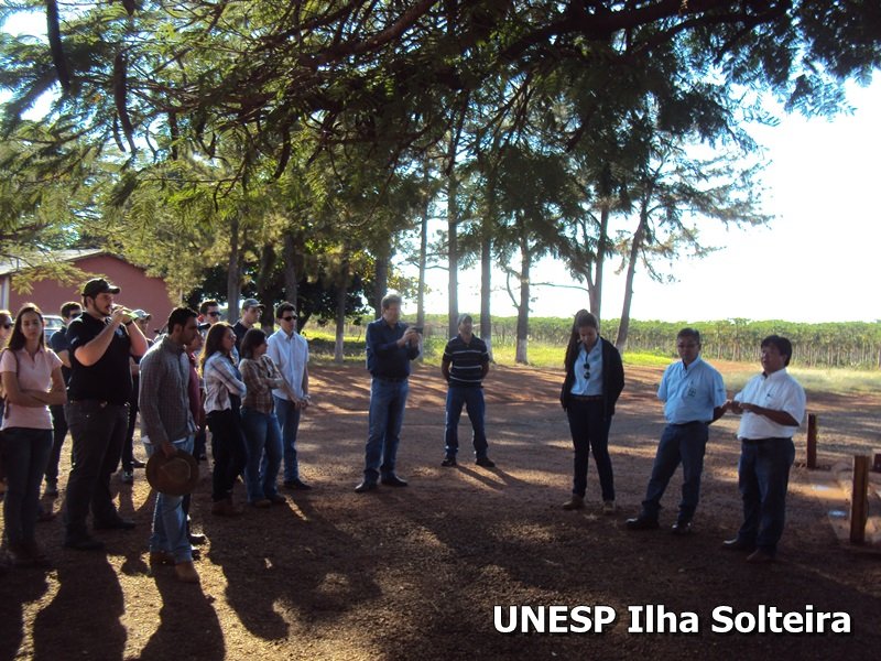 frutas school 22 ago 2015 (5)