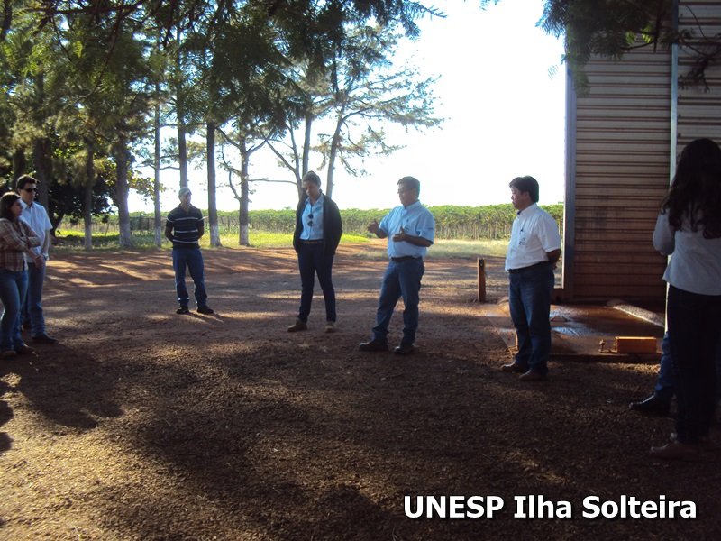 frutas school 22 ago 2015 (6)