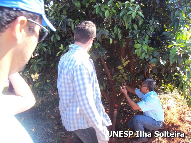 frutas school 22 ago 2015 (9)