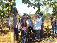 frutas school 22 ago 2015 (14)