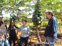 frutas school 22 ago 2015 (15)