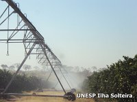 frutas_school_22_ago_2015 (7).JPG