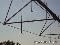 frutas_school_22_ago_2015 (8).JPG