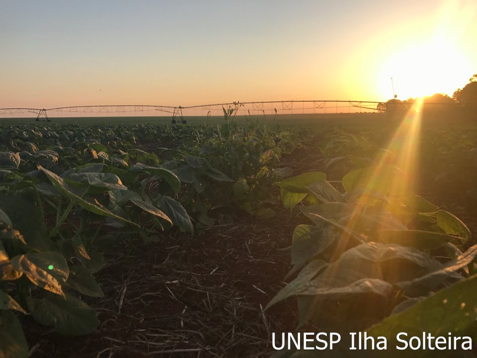 irrigashow 6 7 set 2017 (24)