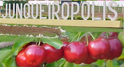 Clique na foto para  conhecer Junqueir&oacute;polis 