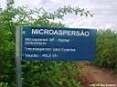 Identifica&ccedil;ao do tratamento microaspers&atilde;o